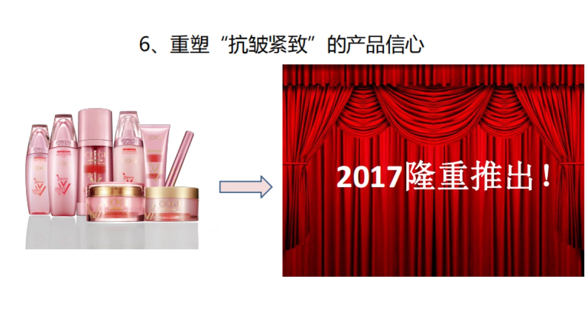 2017-高姿整合营销战略_第9页