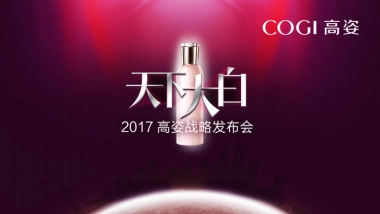 2017-高姿整合营销战略