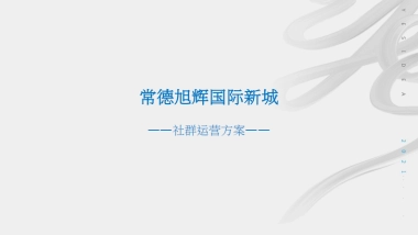 2021国际新城社群运营方案