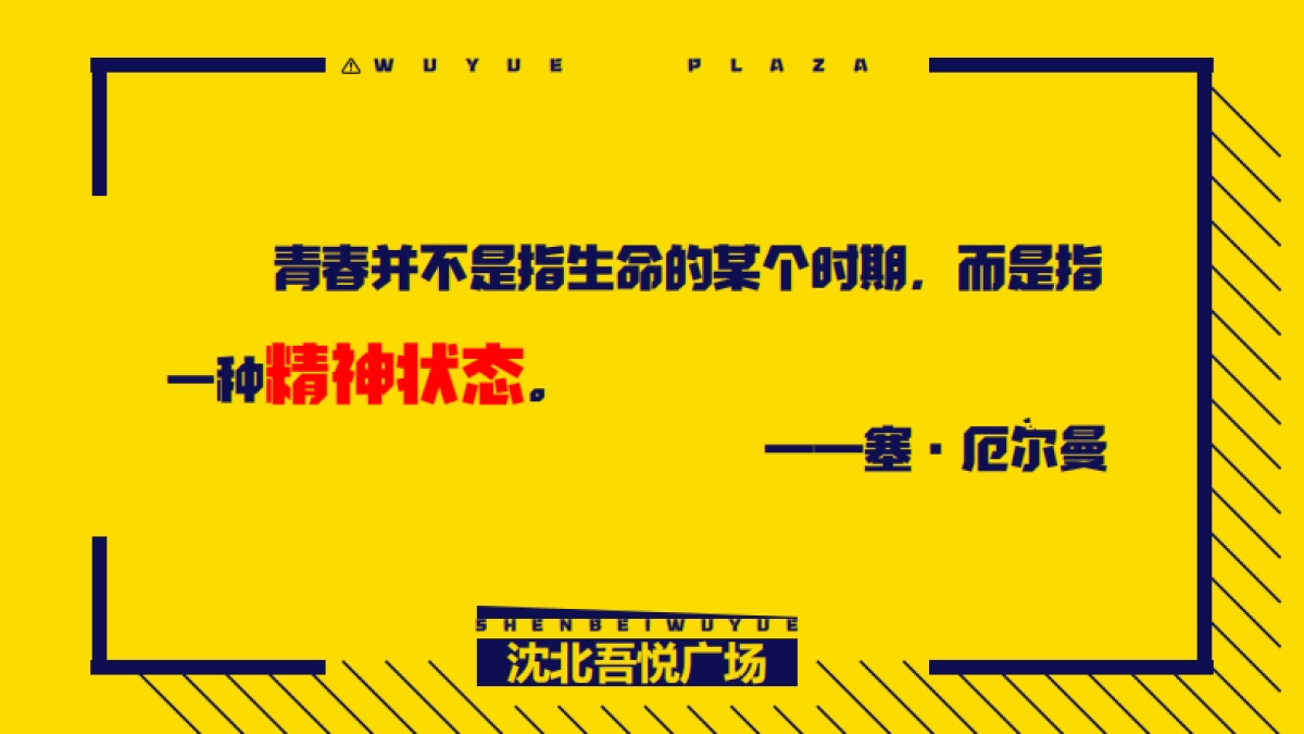 2022沈北吾悦广场年轻客群营销分享_第2页