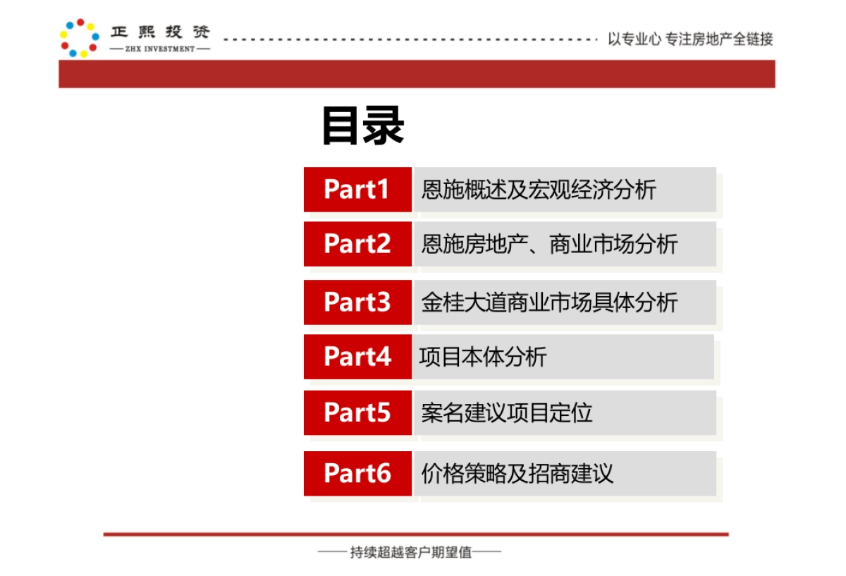 大道项目提案_第5页