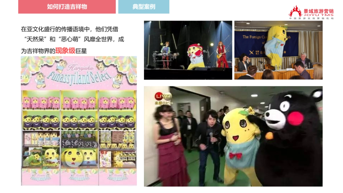 大云IP设计策划方案（4.28）_第5页