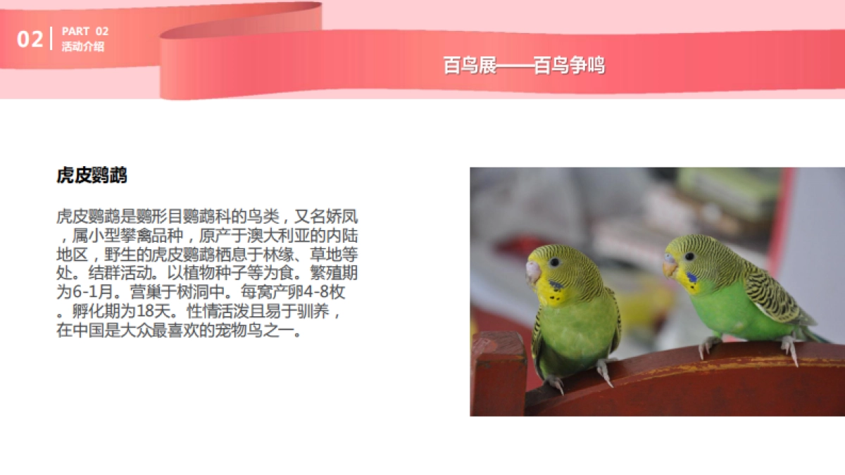 购物中心圣诞及跨年动物主题展示方案_第10页