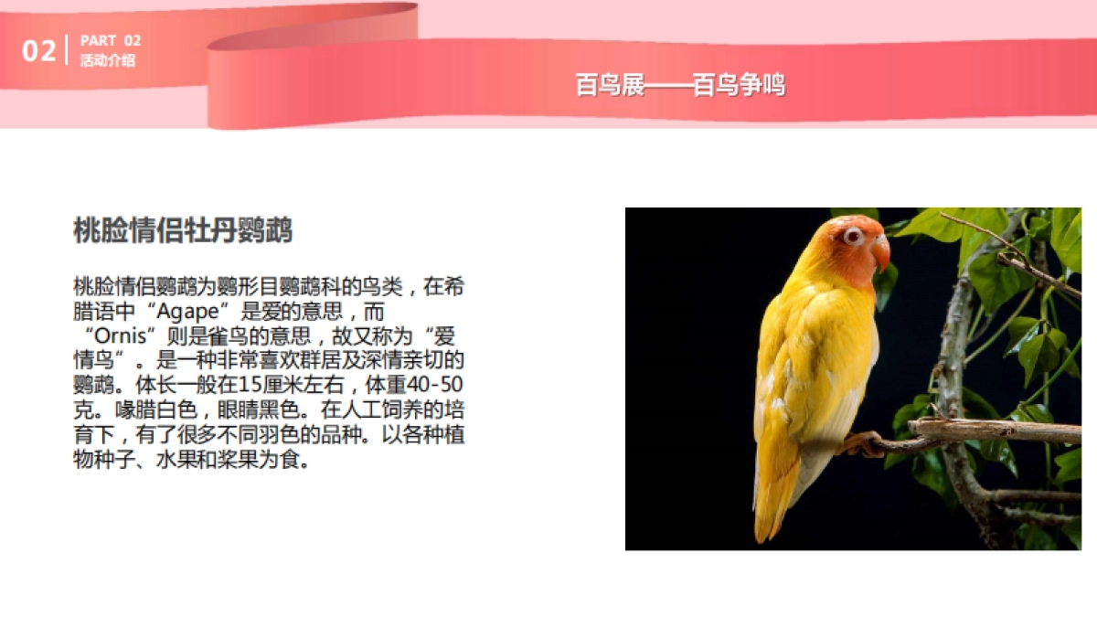 购物中心圣诞及跨年动物主题展示方案_第7页