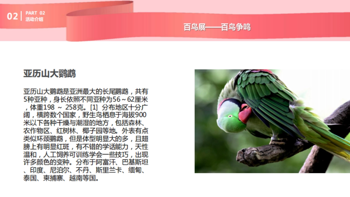 购物中心圣诞及跨年动物主题展示方案_第8页