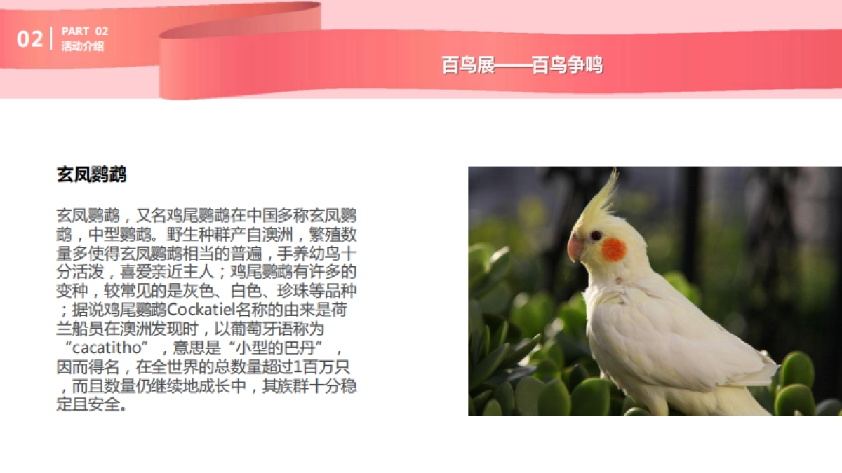 购物中心圣诞及跨年动物主题展示方案_第9页