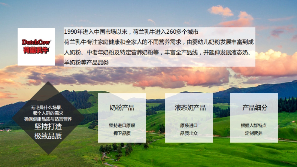 荷兰乳牛麦片终版提案文件_第8页