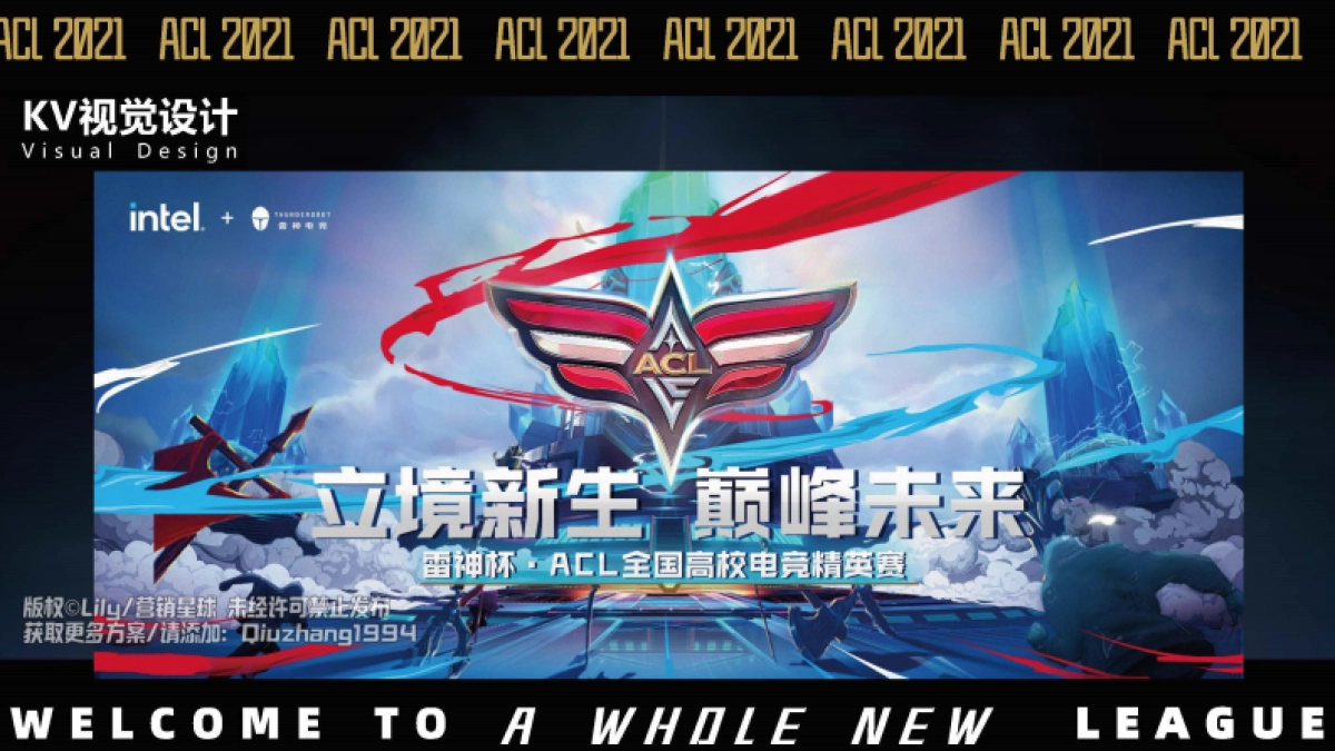 雷神英雄联盟决赛项目创意案_第10页