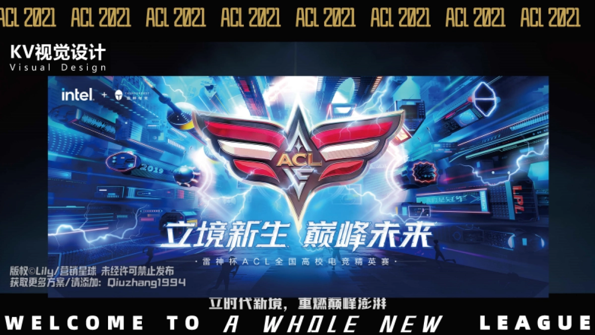 雷神英雄联盟决赛项目创意案_第8页