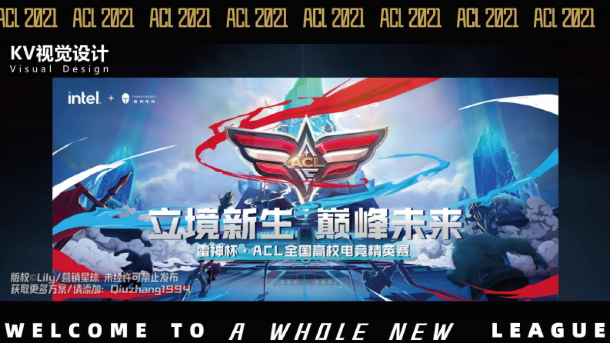 雷神英雄联盟决赛项目创意案_第9页