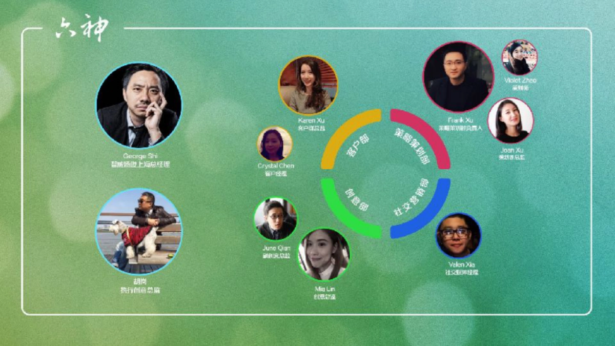 六神洗发水年度比稿提案_第2页