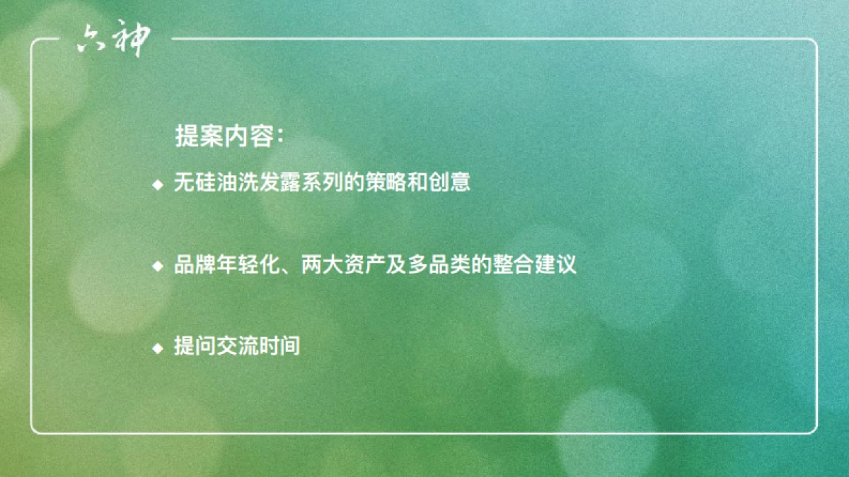 六神洗发水年度比稿提案_第4页