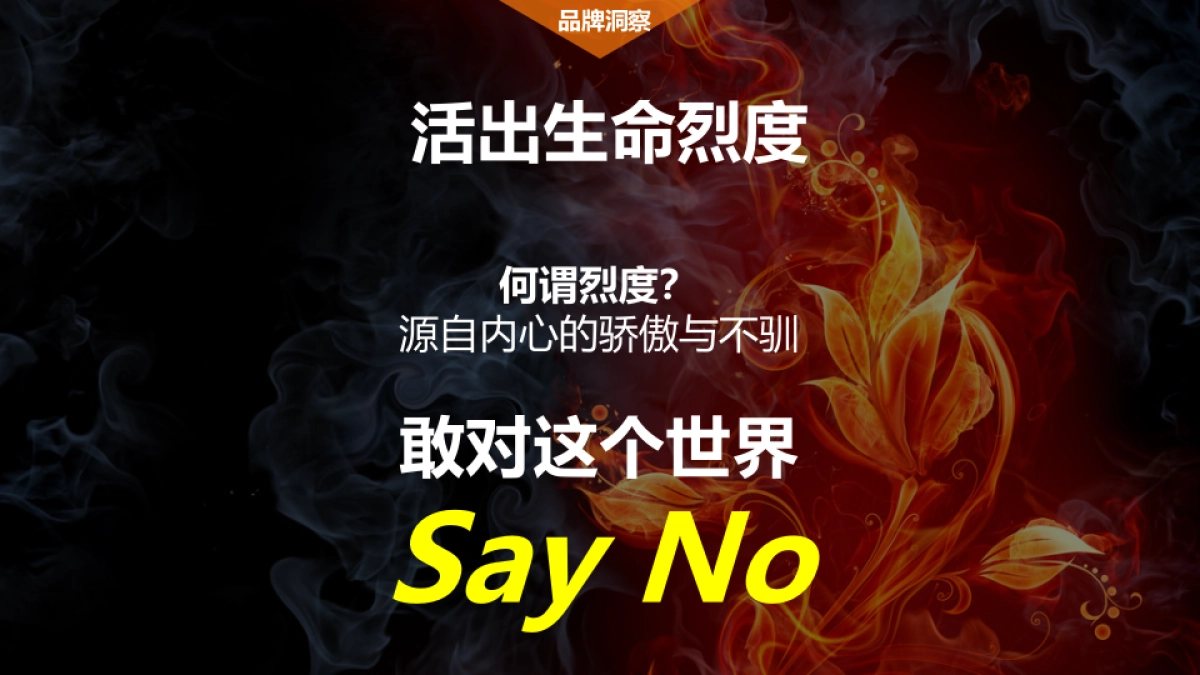 美广-新楼兰朋友圈广告创意规划方案_第9页