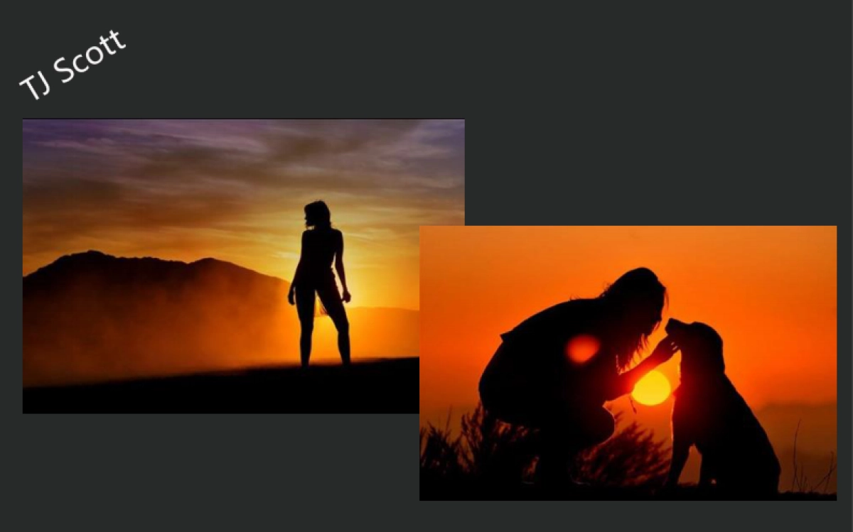 欧赛斯FM高端女裙品牌创意设计标志方案_第4页