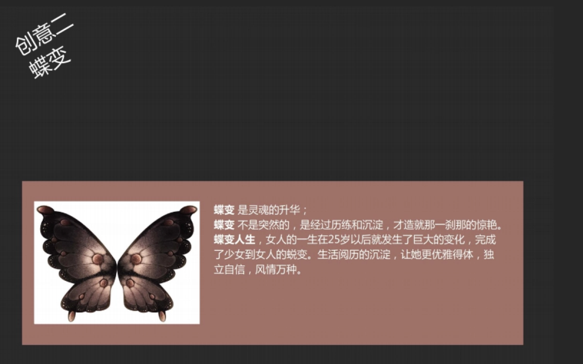 欧赛斯FM高端女裙品牌创意设计标志方案_第5页