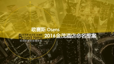 欧赛斯金茂集团品牌创意策划及品牌Logo及VI设计方案
