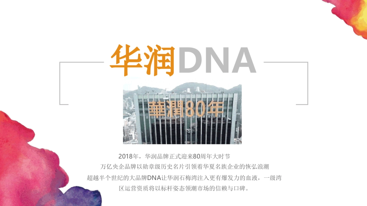 （海南）头脑风暴-华润石梅湾2018年度推广提报案_第10页