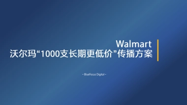 【蓝标】沃尔玛“支长期更低价”传播方案