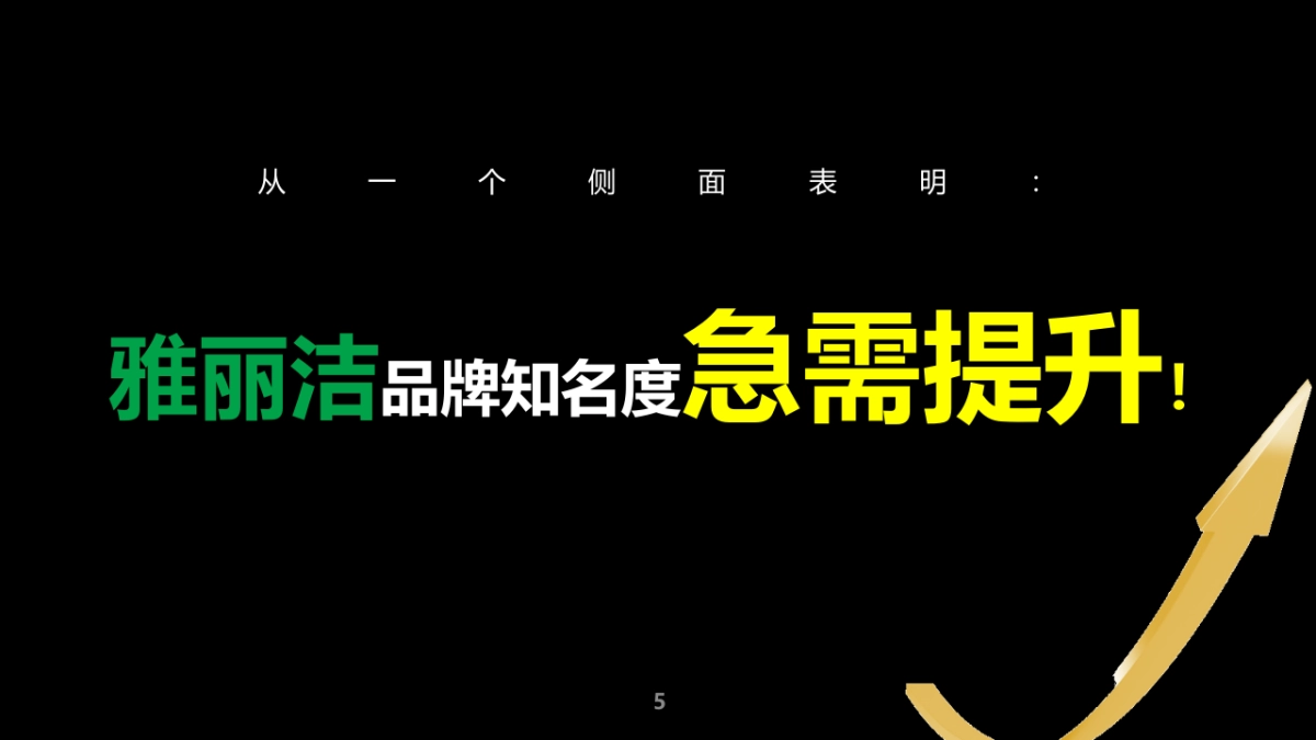 【蓝色光标】雅丽洁EPR传播项目创意规划方案_第5页