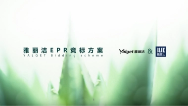 【蓝色光标】雅丽洁EPR传播项目创意规划方案150731