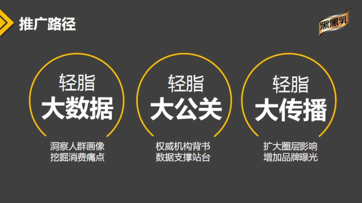 【郎琴呈送】中国轻脂日公关行动传播推广方案_第3页