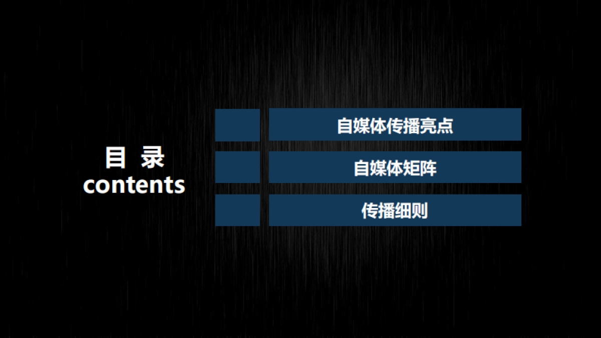 【汽车网评】传播方案广汽传祺_第2页