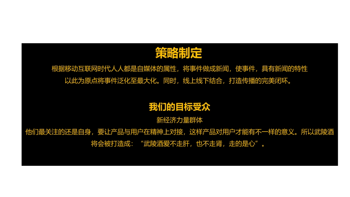 【时趣好方案】武陵酒社会化传播方案_第10页