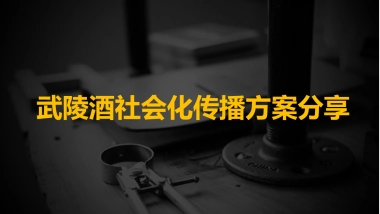 【时趣好方案】武陵酒社会化传播方案
