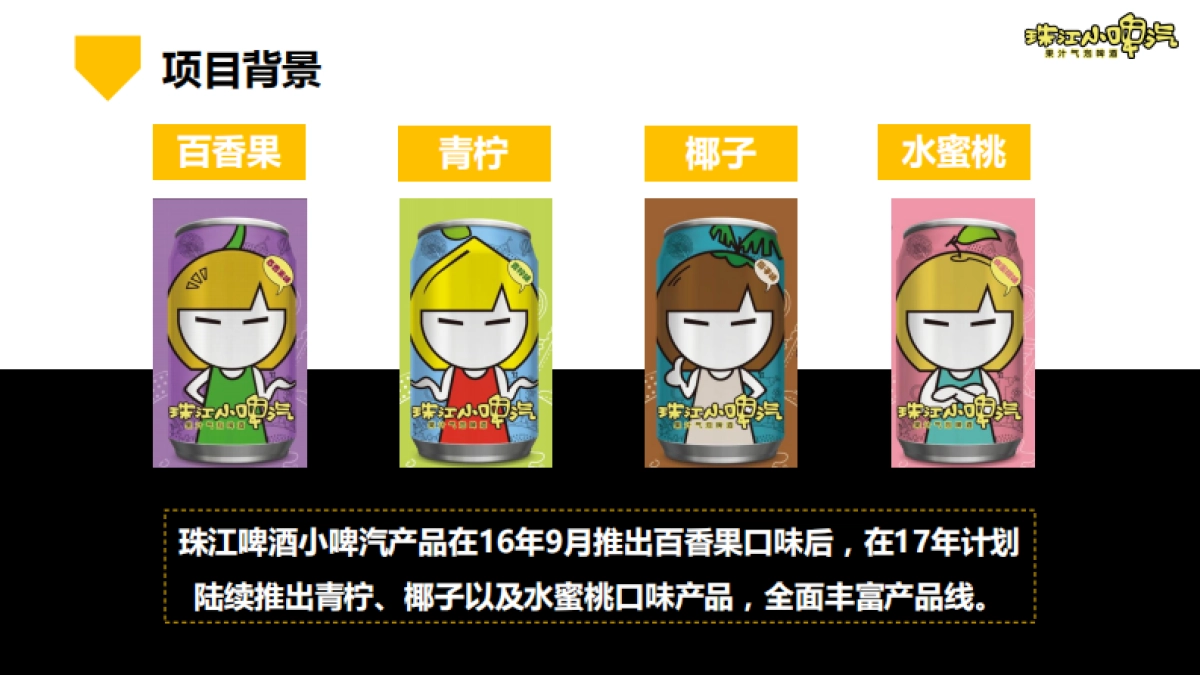 【新浪广东】珠江小啤汽年年度推广传播方案_第4页