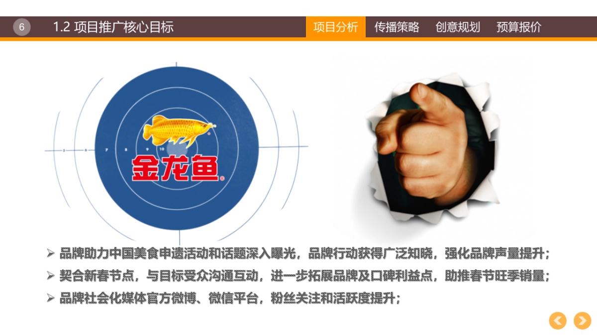 ★ 金龙鱼2016春节社会化传播互动方案-电传互动【压缩】_第6页