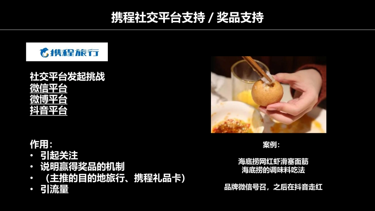 2018年携程抖音社交传播方案_第5页