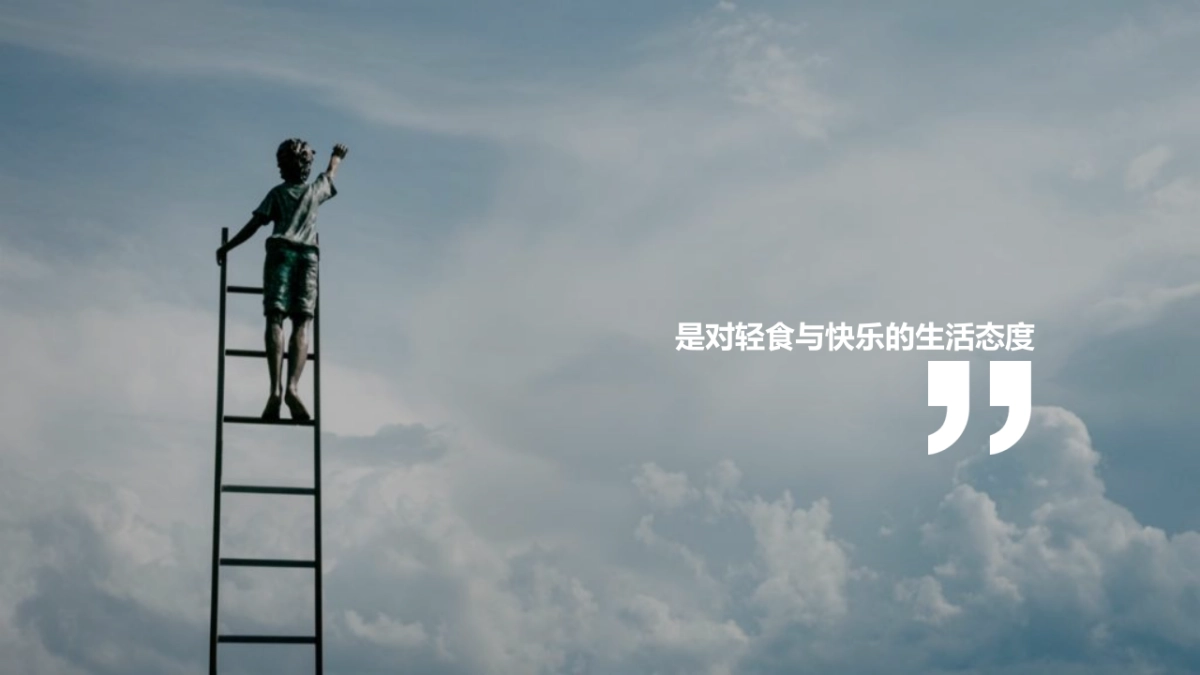 2019百草味社会化营销传播方案_第4页