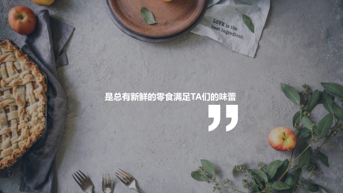 2019百草味社会化营销传播方案_第5页