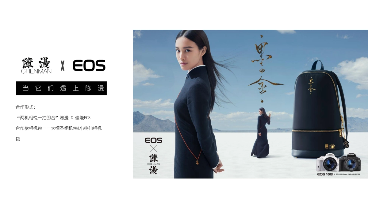 Pony Effect&陈漫 传播推广方案_第6页