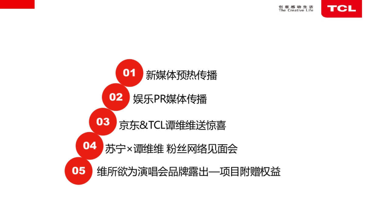 TCL+谭维维娱乐项目传播报告_第3页