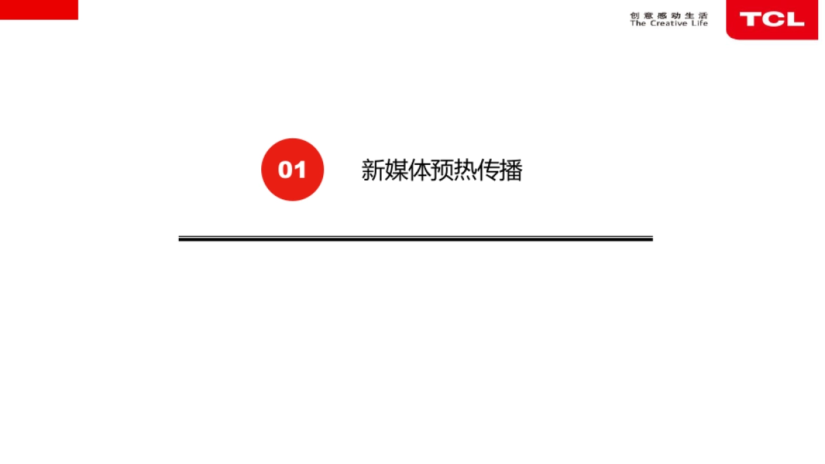 TCL+谭维维娱乐项目传播报告_第4页
