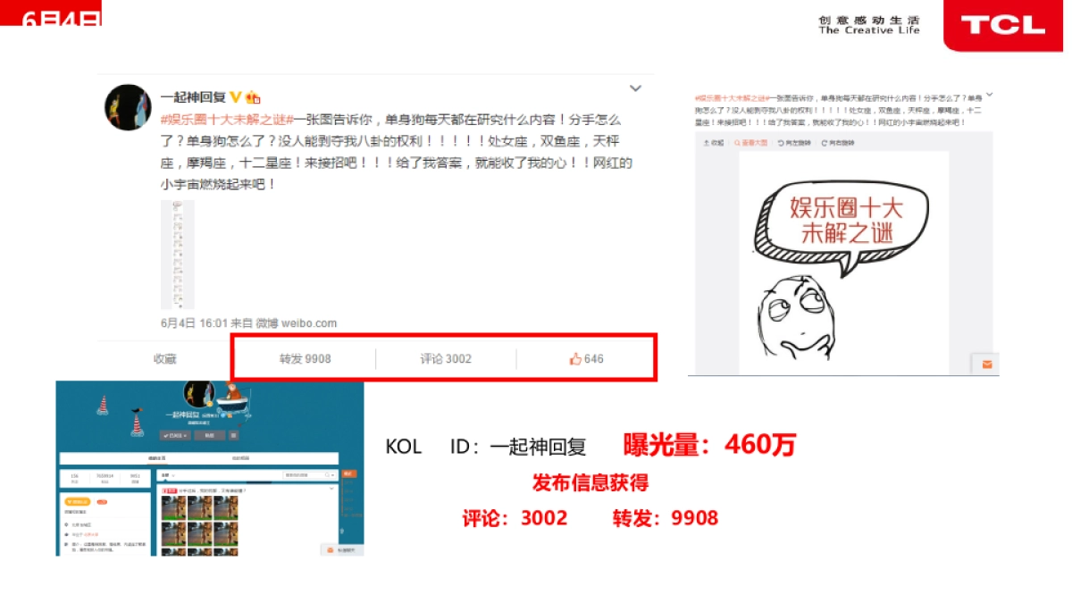 TCL+谭维维娱乐项目传播报告_第8页
