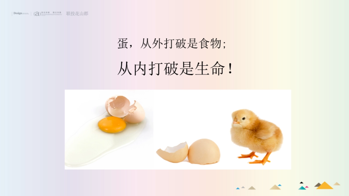 -花山郡2016年度推广方案_第2页