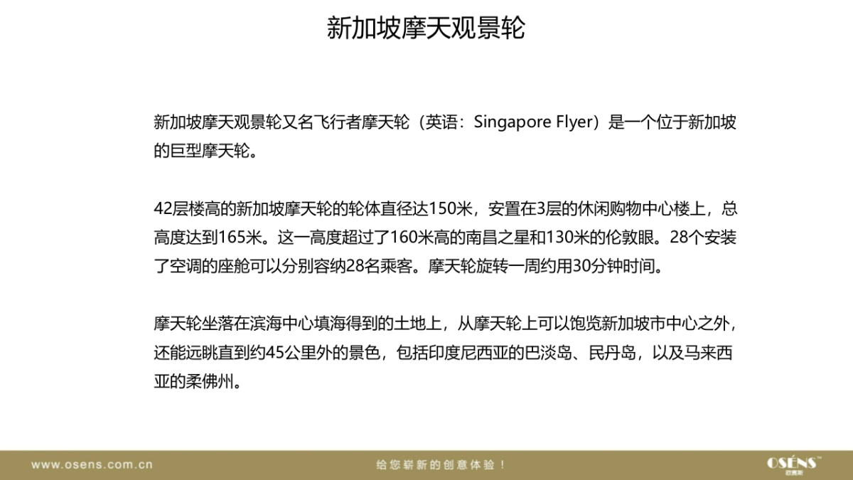 欧赛斯新加坡摩天观景轮游乐场娱乐行业网络数字营销推广方案_第10页