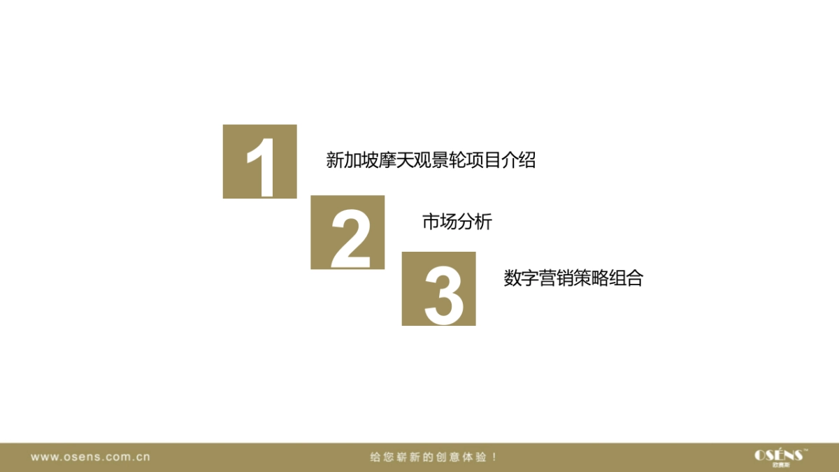 欧赛斯新加坡摩天观景轮游乐场娱乐行业网络数字营销推广方案_第3页