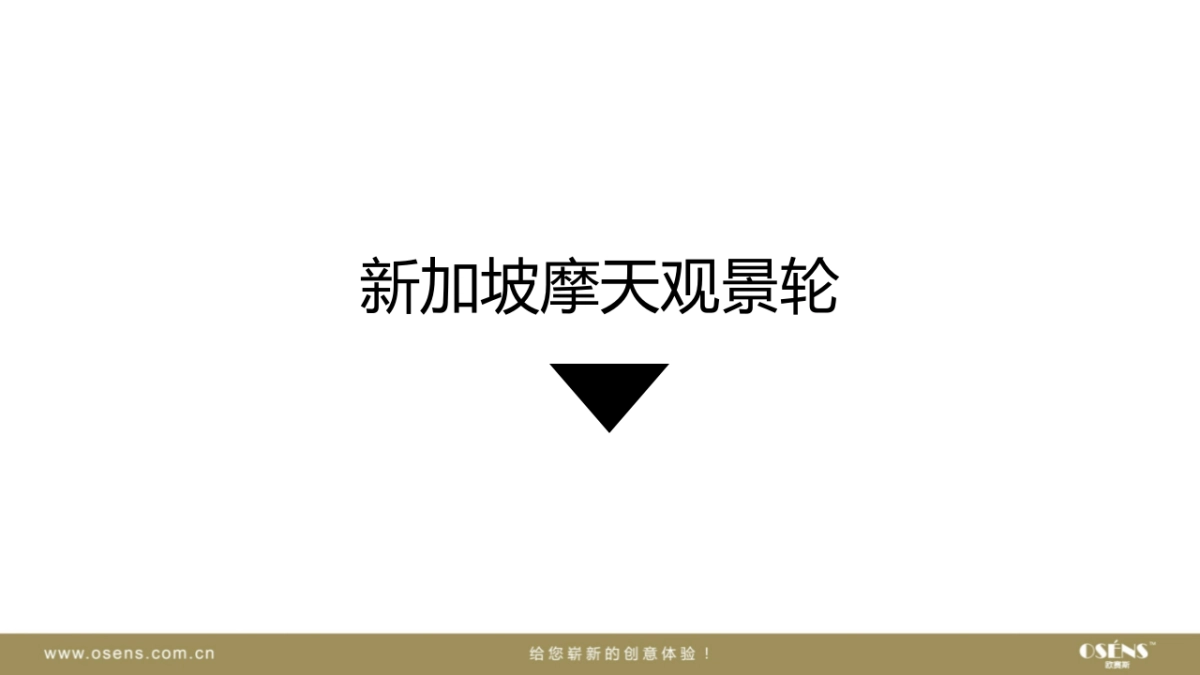 欧赛斯新加坡摩天观景轮游乐场娱乐行业网络数字营销推广方案_第9页