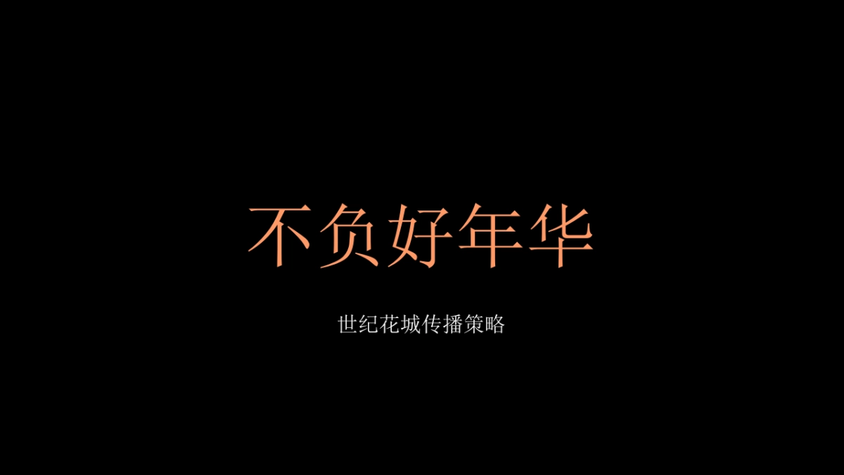 深圳心生万物-源盛花里项目传播策略_第4页