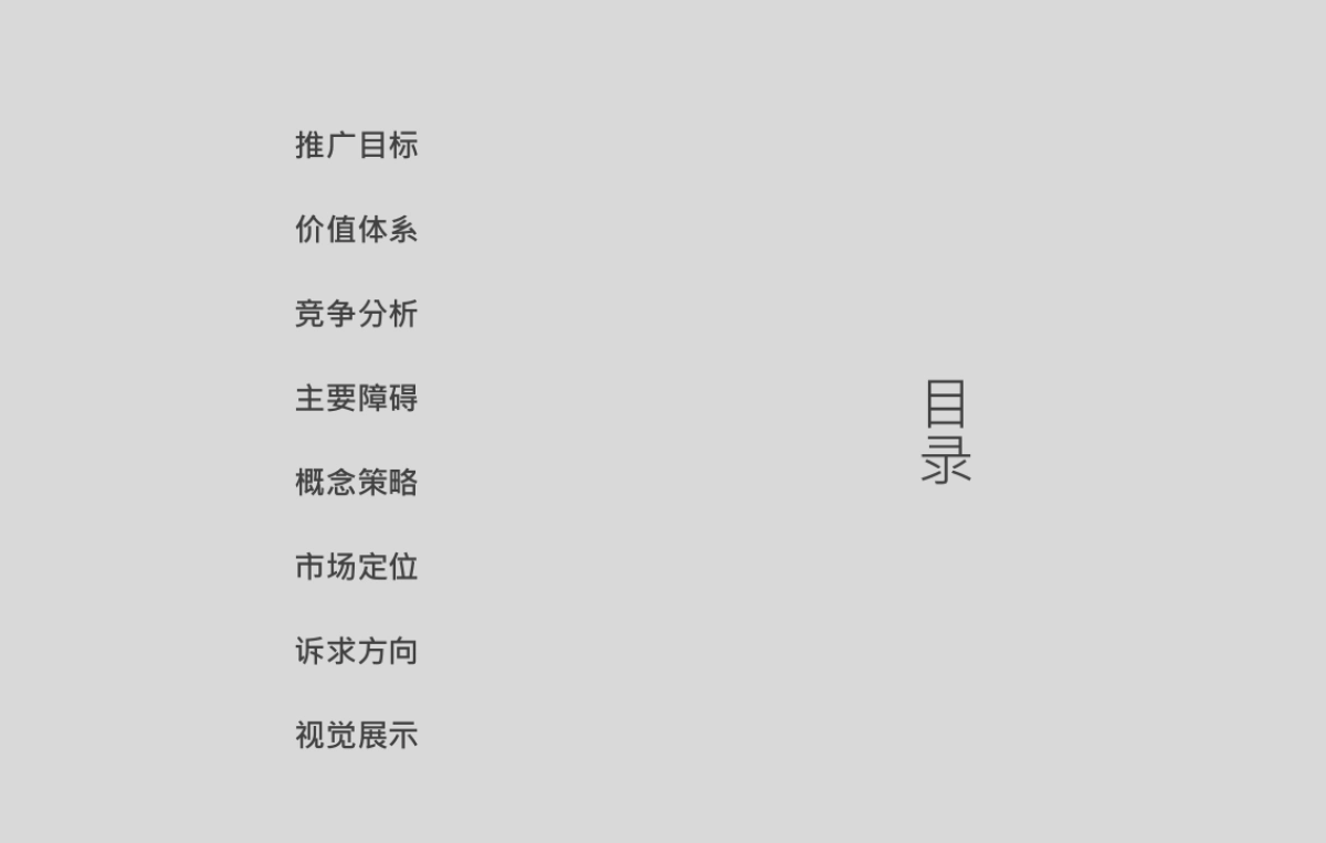 深圳圆桌传播-深圳友盛大冲项目策略案_第3页