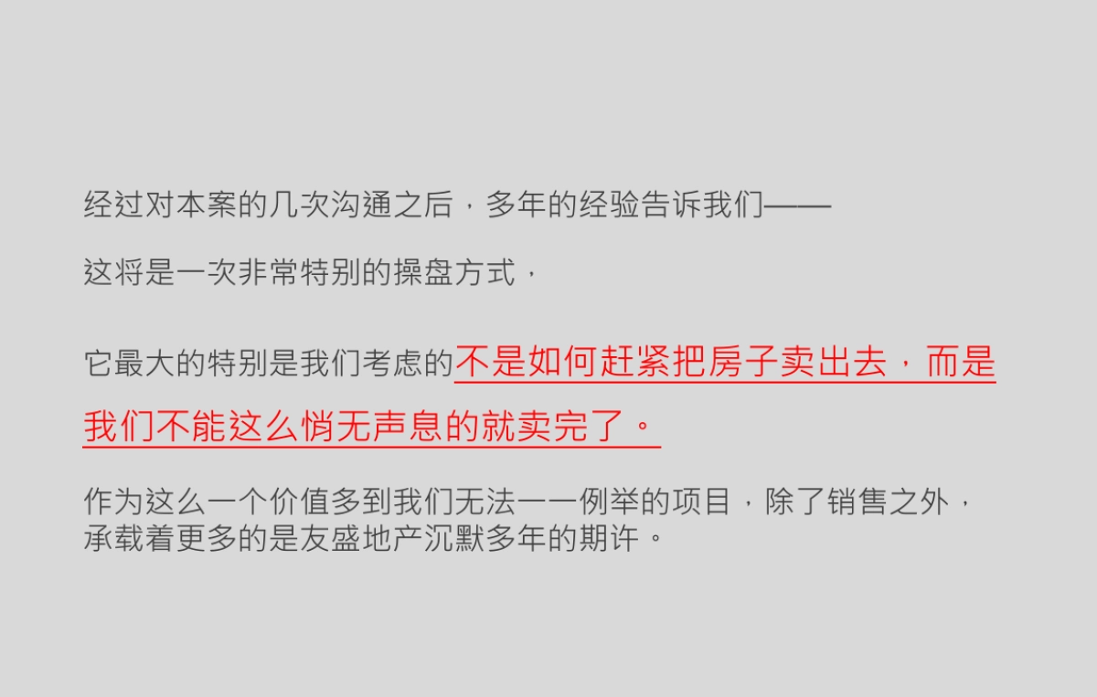 深圳圆桌传播-深圳友盛大冲项目策略案_第4页