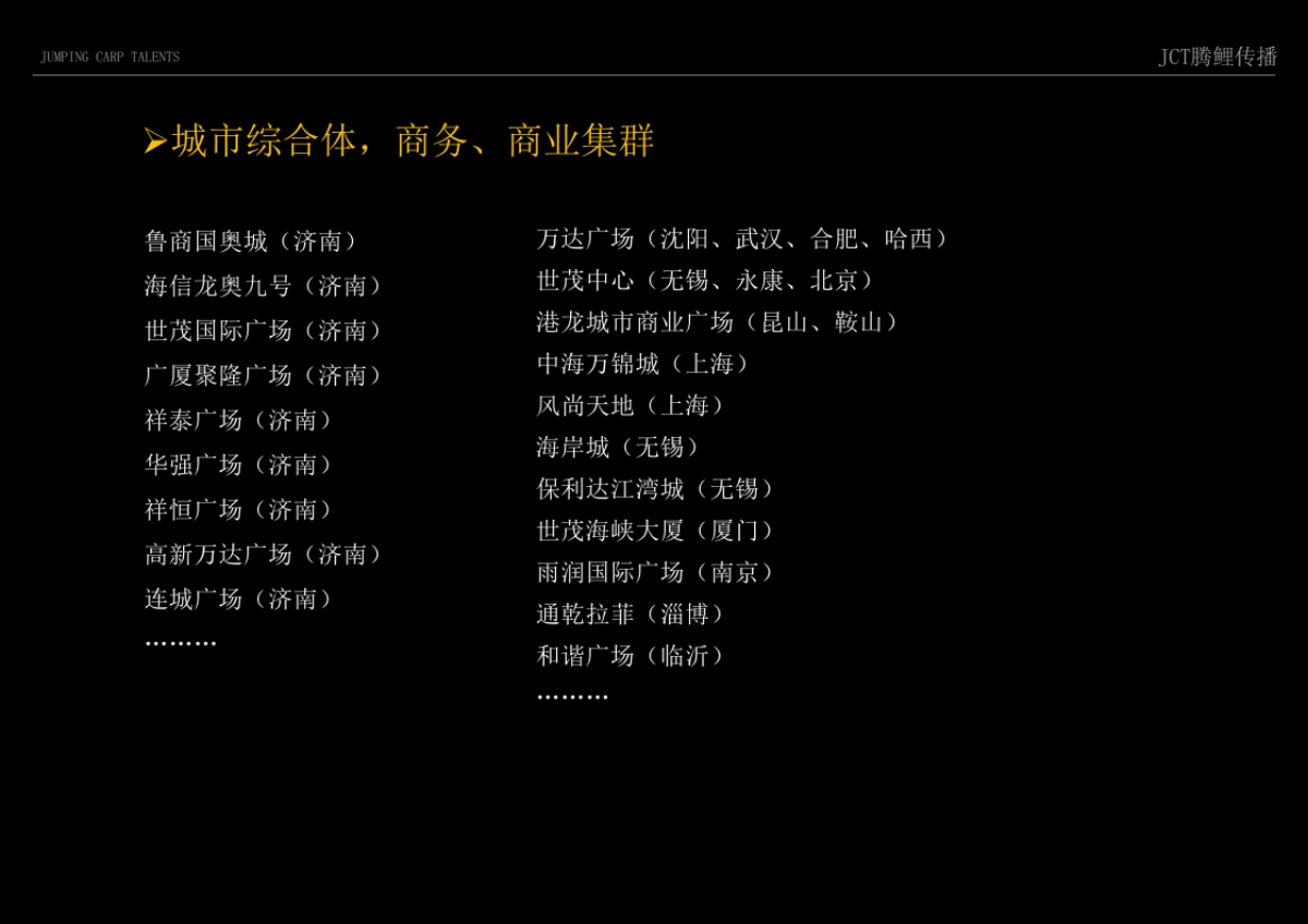 腾鲤传播-CT腾鲤传播罗庄天润项目推广策略提报方案_第10页