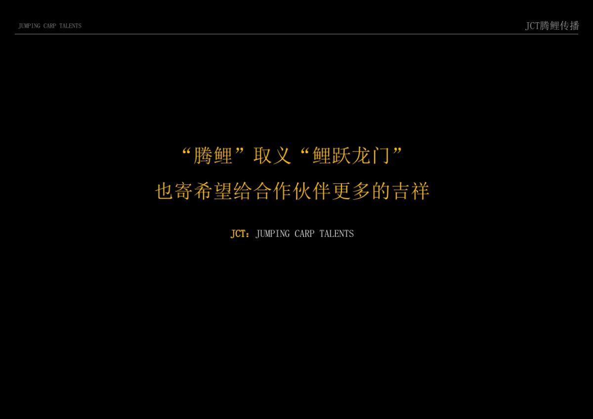 腾鲤传播-CT腾鲤传播罗庄天润项目推广策略提报方案_第4页