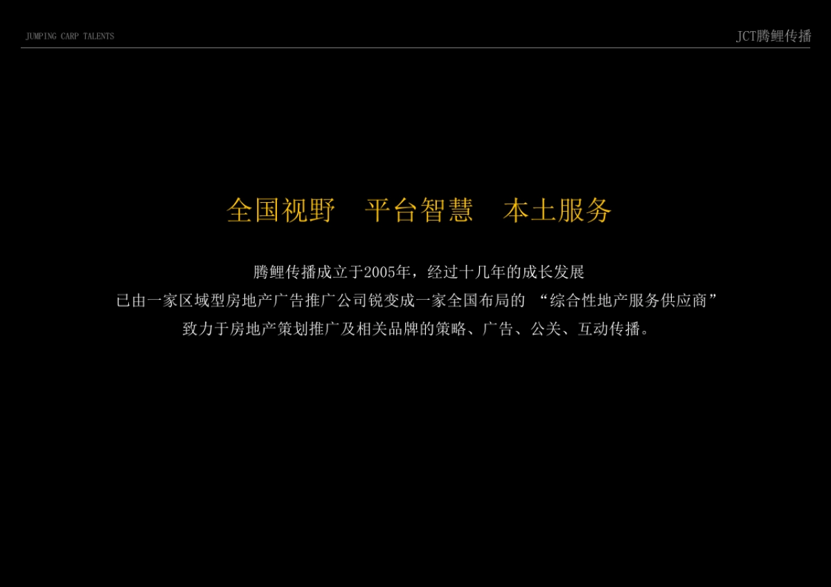 腾鲤传播-CT腾鲤传播罗庄天润项目推广策略提报方案_第5页