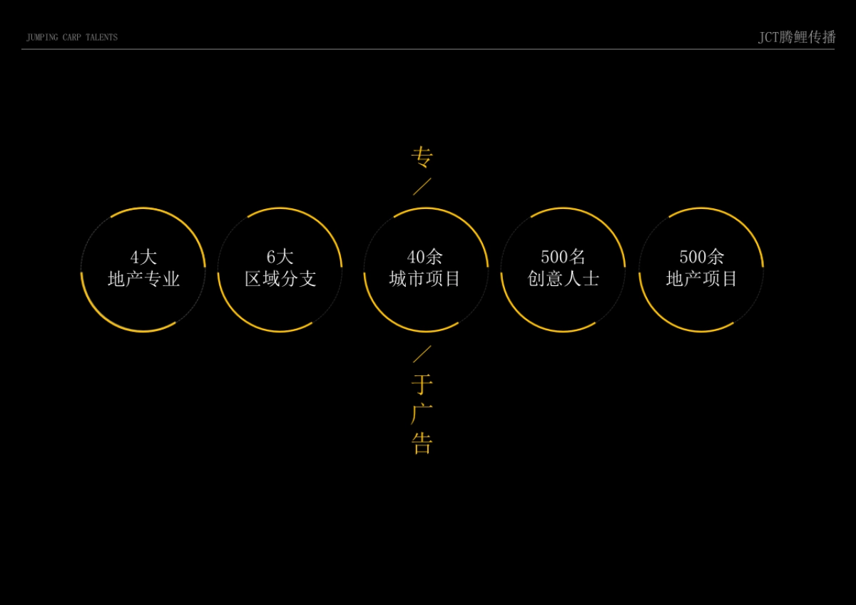 腾鲤传播-CT腾鲤传播罗庄天润项目推广策略提报方案_第8页