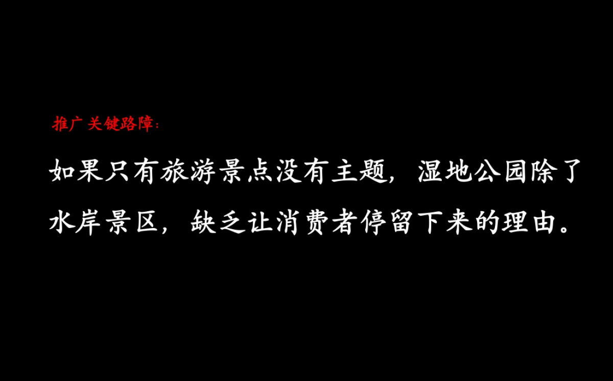 腾鲤传播-龙湖湿地项目推广沟通方案_第5页