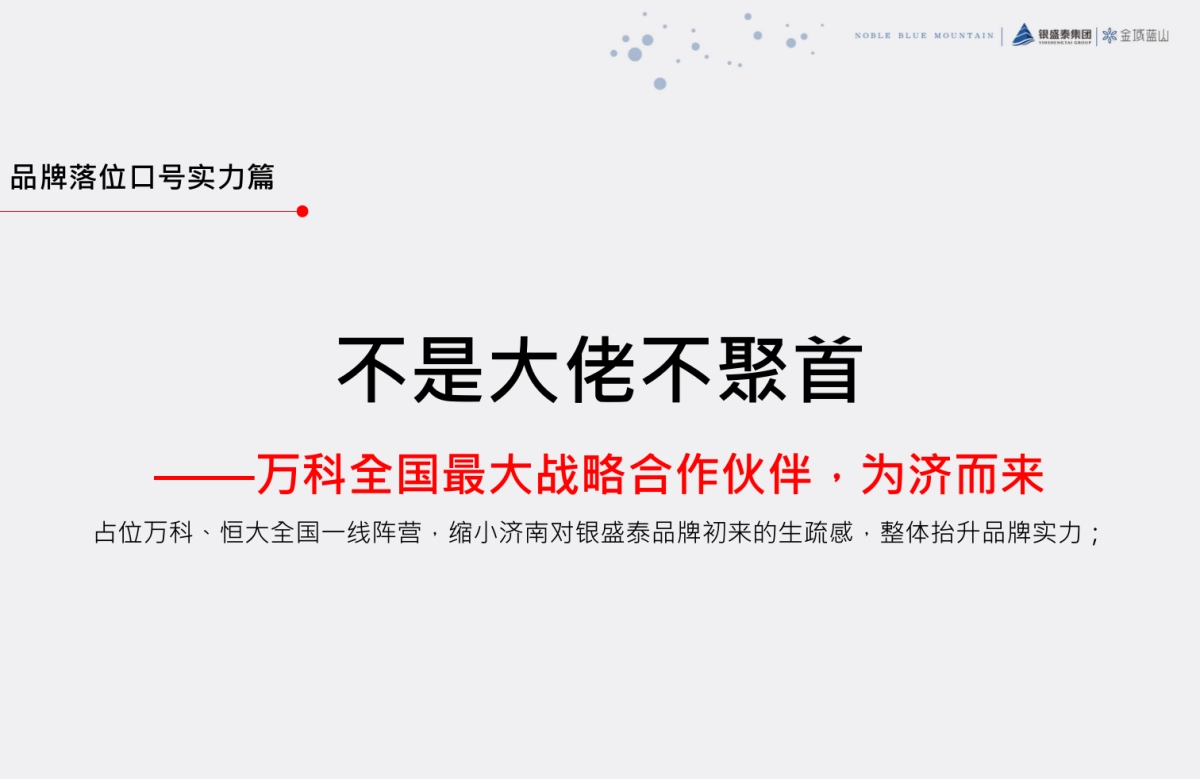 腾鲤传播-银盛泰·金域蓝山整合推广执行案_第10页